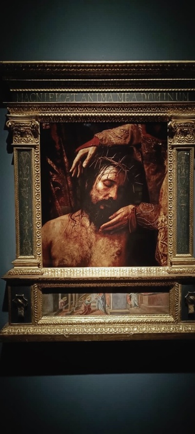 MXOY6956